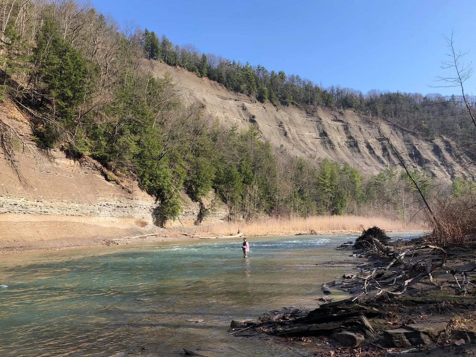 A lone fly angler wading a wide creek beneath tall shale cliffs in Western New York