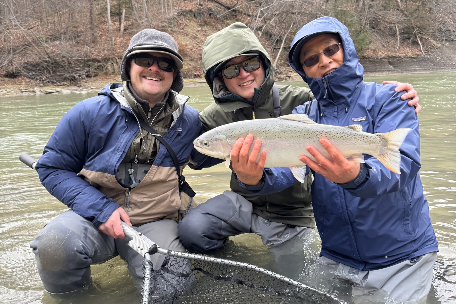 Three anglers standing in a Western New York creek holding a steelhead between them