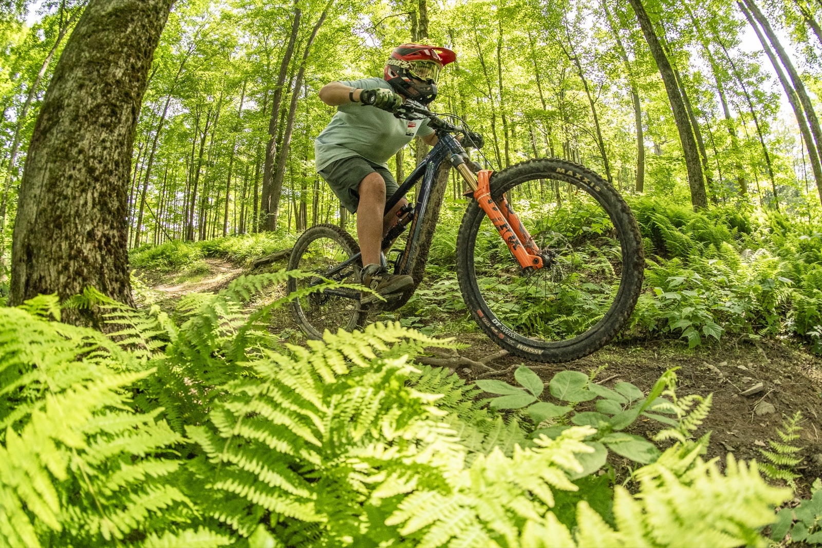 Mountain biker cornering through ferns on a green forest trail in Ellicottville