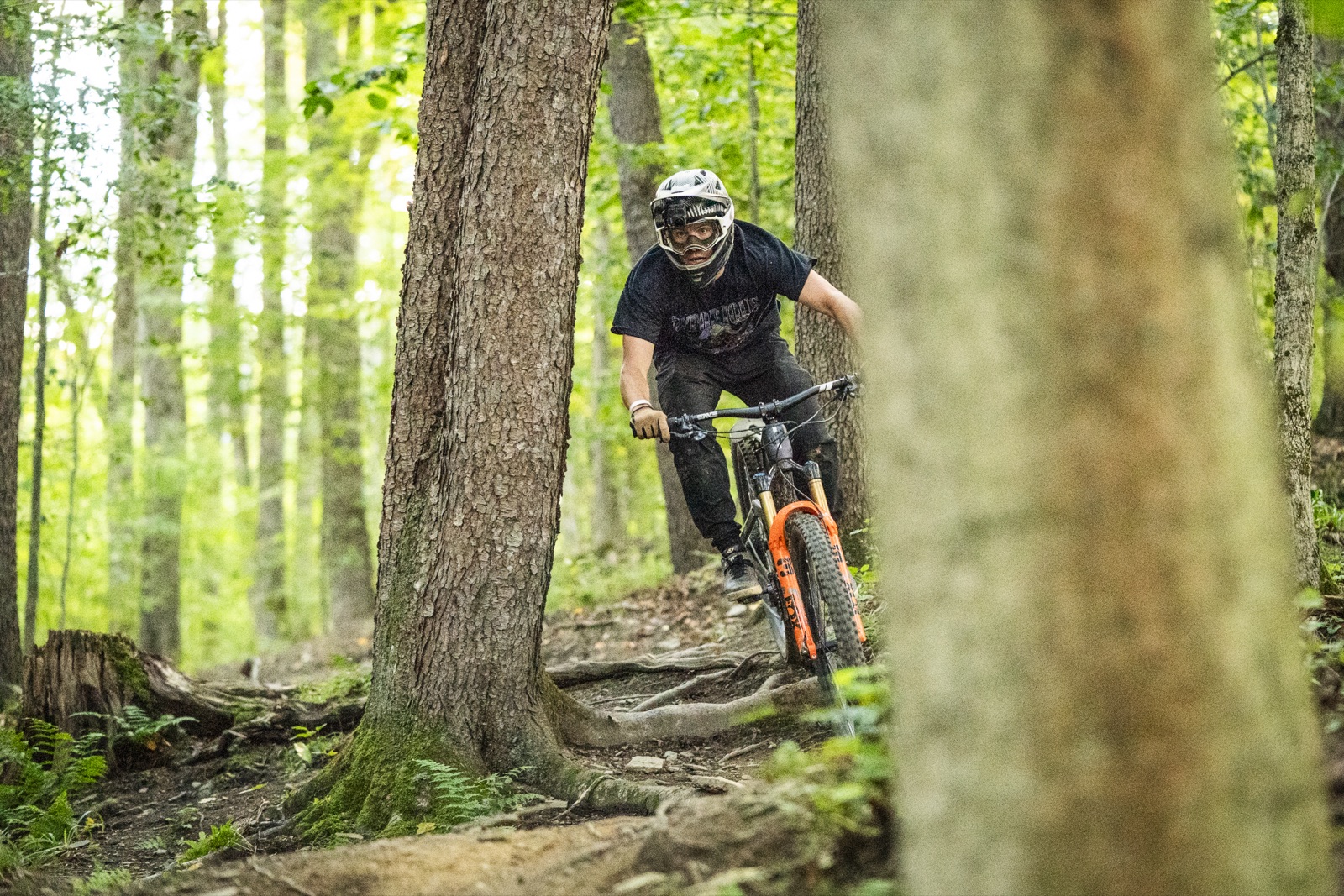Mountain biker in a full-face helmet weaving through hardwood trees on an Ellicottville trail