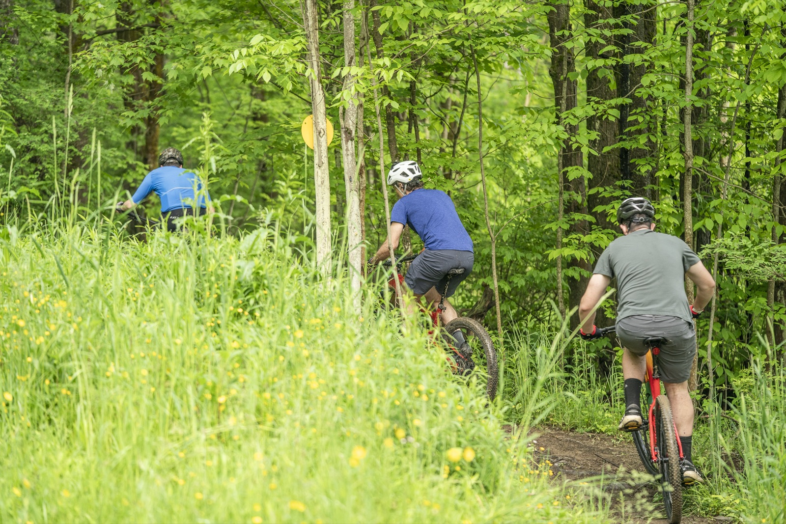 Three riders climbing lush green singletrack in the Ellicottville state forests