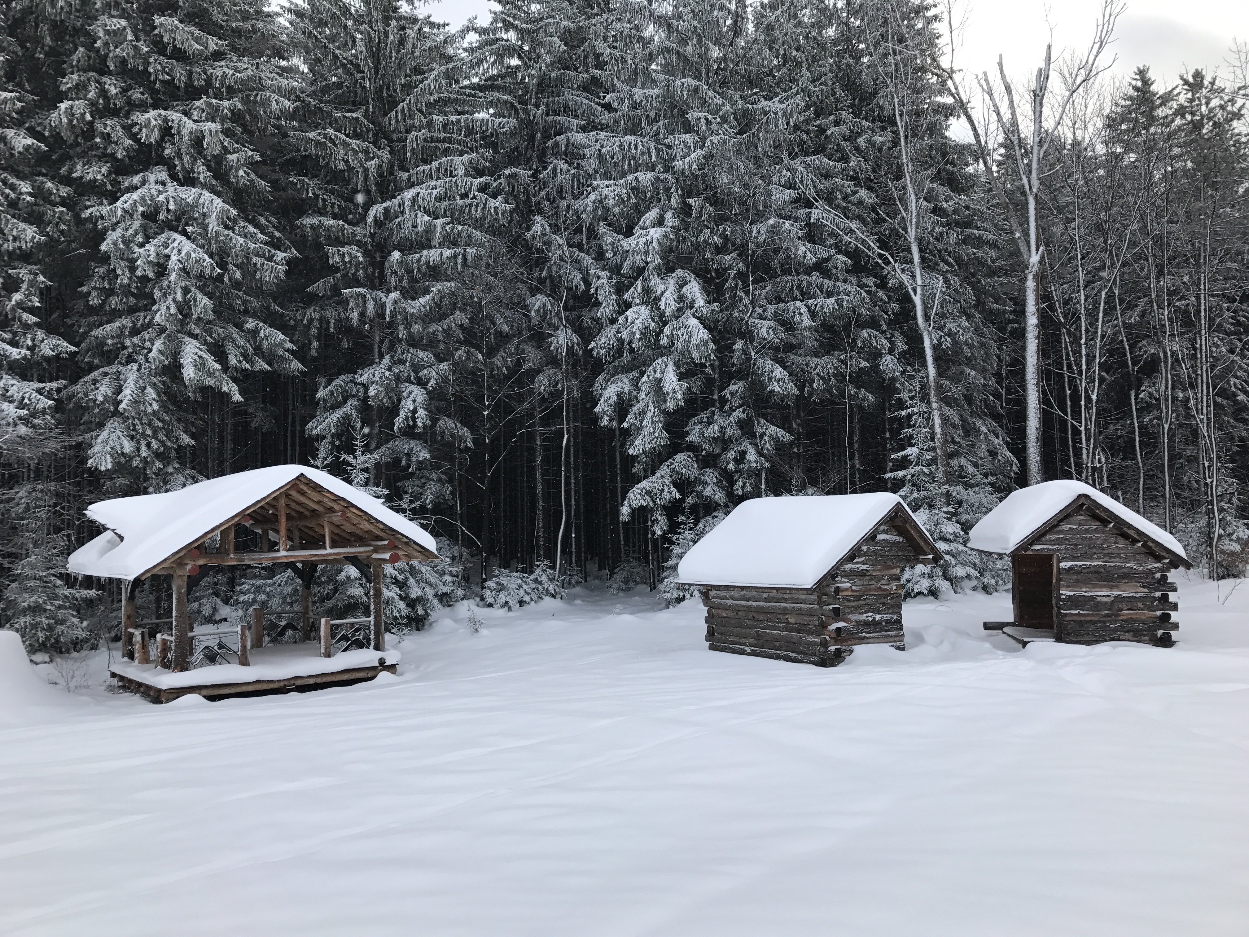 Log shelters in the snow near Ellicottville